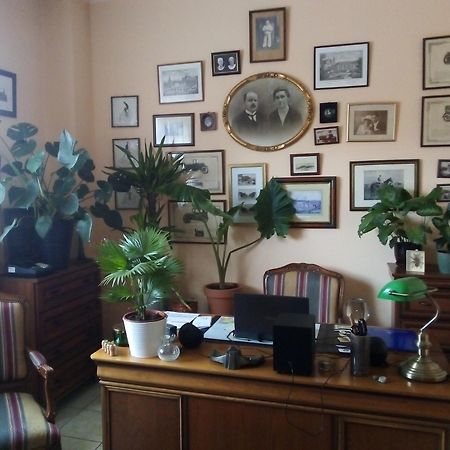 Villa Minerva Zielona Góra Exterior foto
